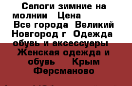 Сапоги зимние на молнии › Цена ­ 5 900 - Все города, Великий Новгород г. Одежда, обувь и аксессуары » Женская одежда и обувь   . Крым,Ферсманово